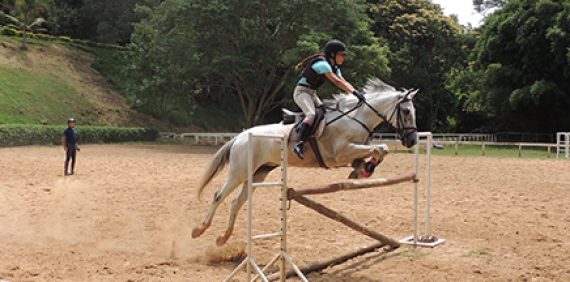 Salto, adestramento e enduro